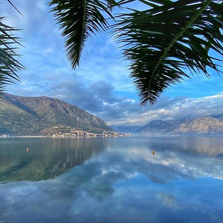 Sunny Bay Apartments Kotor Kültér fotó
