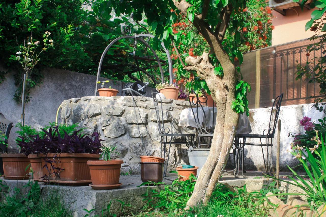 Sunny Bay Apartments Kotor Kültér fotó