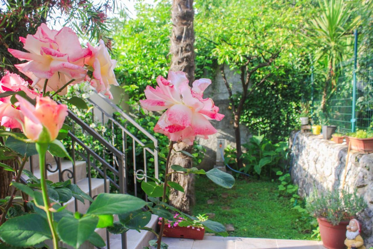 Sunny Bay Apartments Kotor Kültér fotó