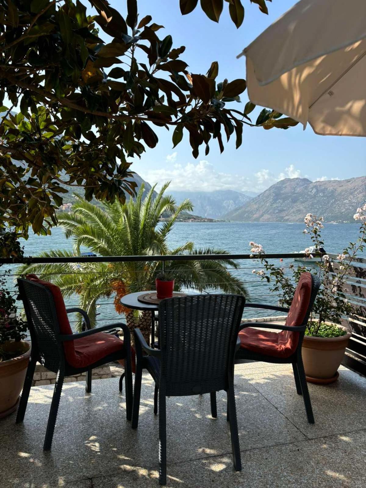 Sunny Bay Apartments Kotor Kültér fotó